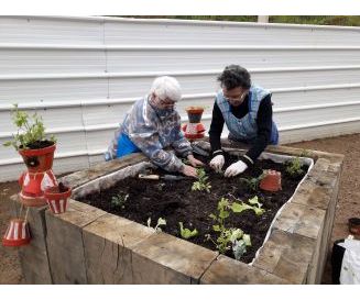 Potager Partagé 
