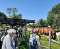 Visite à la ferme pour les résidents de Bouaye 